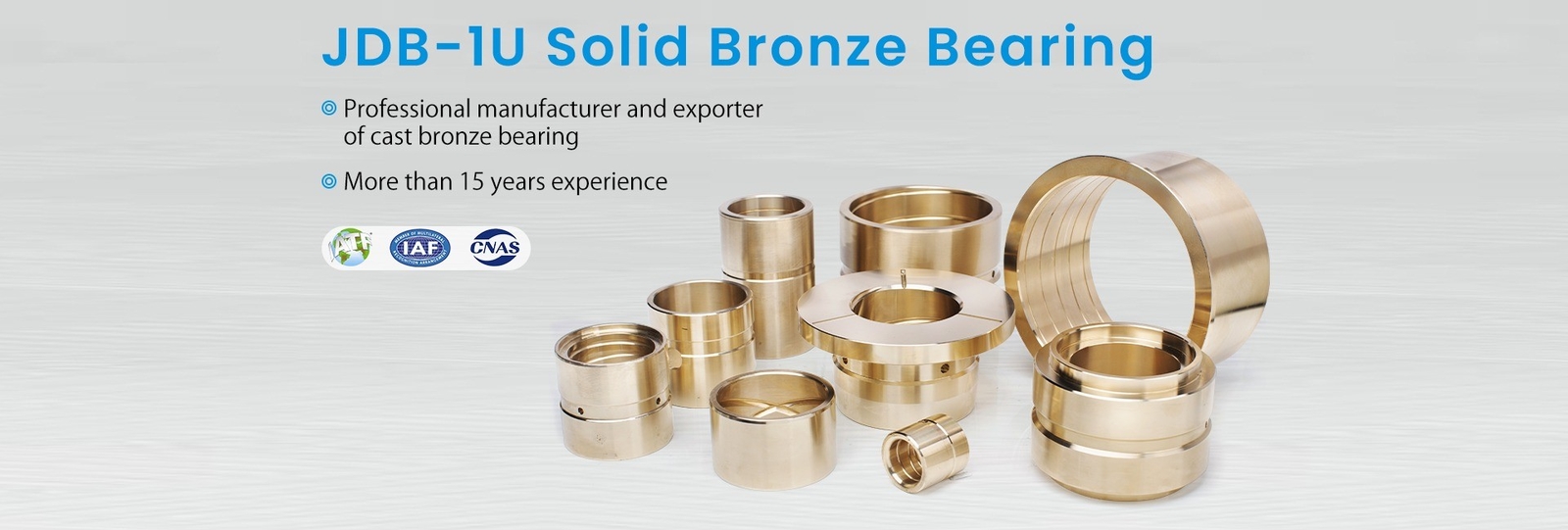 Solid Bronze Bearing